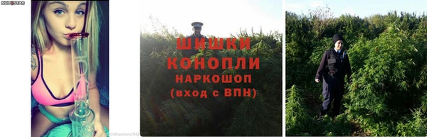 прущий лед Белокуриха
