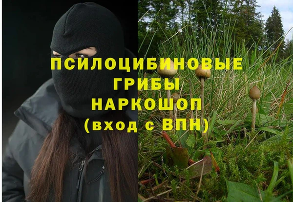МДПВ Беломорск